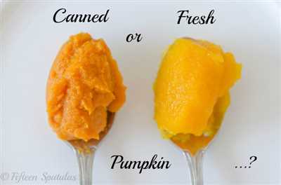 How to can pumpkin puree