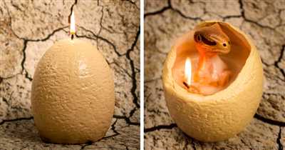 How to candle an egg