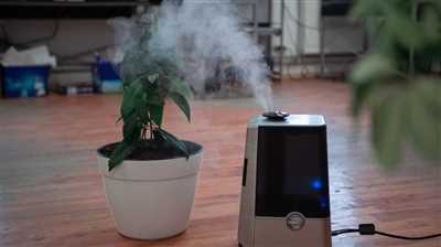 Steps to Make a Homemade Humidifier