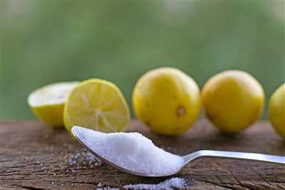 Other Citric Acid Powder Uses