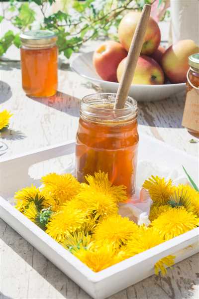 Dandelion Honey Recipe from Flowers