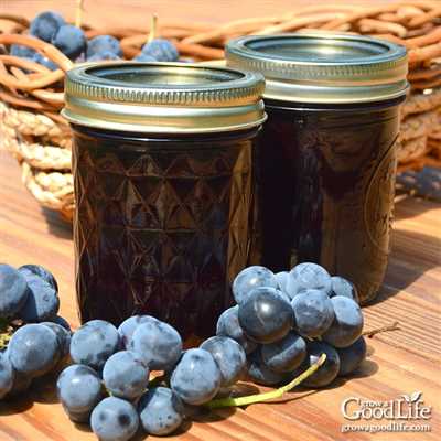 How to make grape jelly