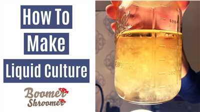 How to make liquid culture
