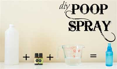 How to make poo pourri