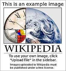 How to submit to wikipedia